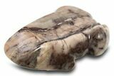 Polished Kona Dolomite (Stromatolite) Stone Frog - Michigan #309123-1